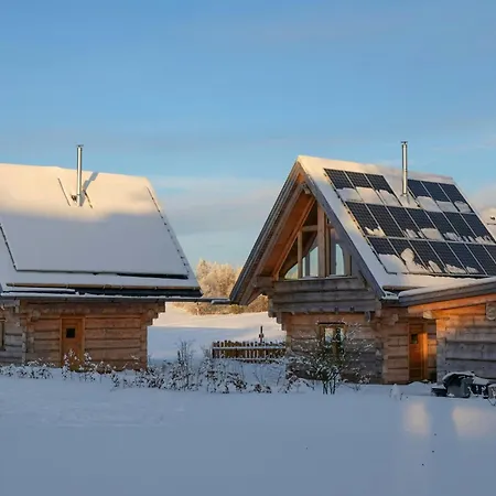 Log In The Upper Harz Mountains * Clausthal-Zellerfeld