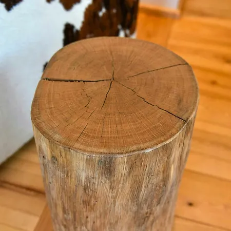 Log In The Upper Harz Mountains Prázdninový dům Clausthal-Zellerfeld