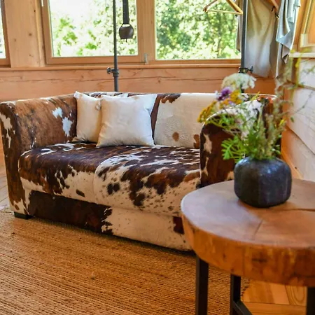 Log In The Upper Harz Mountains * Clausthal-Zellerfeld