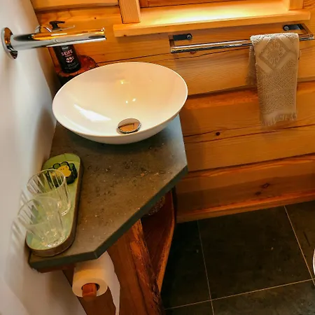 Log In The Upper Harz Mountains *