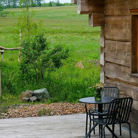 Log In The Upper Harz Mountains Clausthal-Zellerfeld