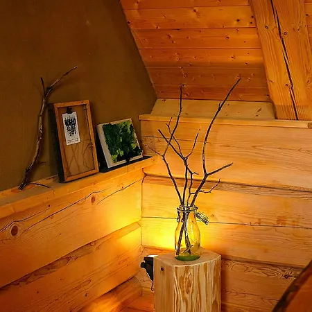 Log In The Upper Harz Mountains Ferienhaus