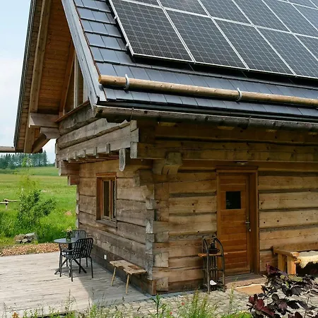 Log In The Upper Harz Mountains * Clausthal-Zellerfeld