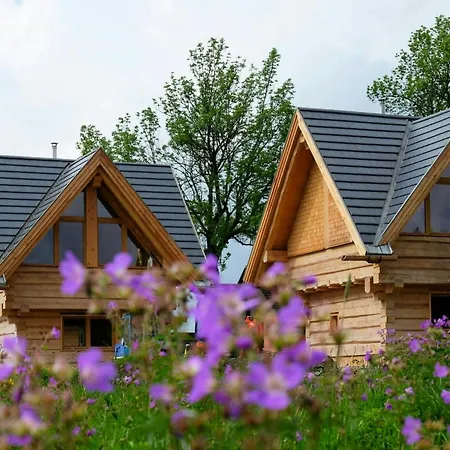 Log In The Upper Harz Mountains Prázdninový dům Clausthal-Zellerfeld
