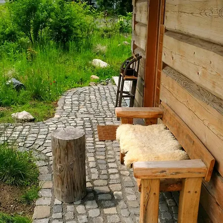 Log In The Upper Harz Mountains