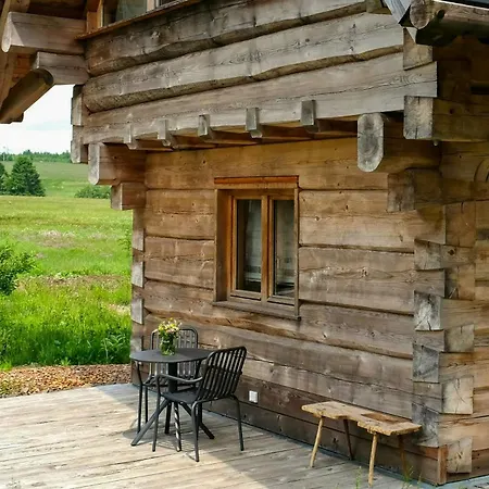 Log In The Upper Harz Mountains *